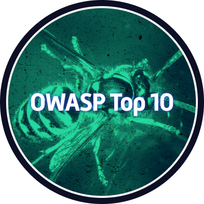 OWASP Top 10 badge